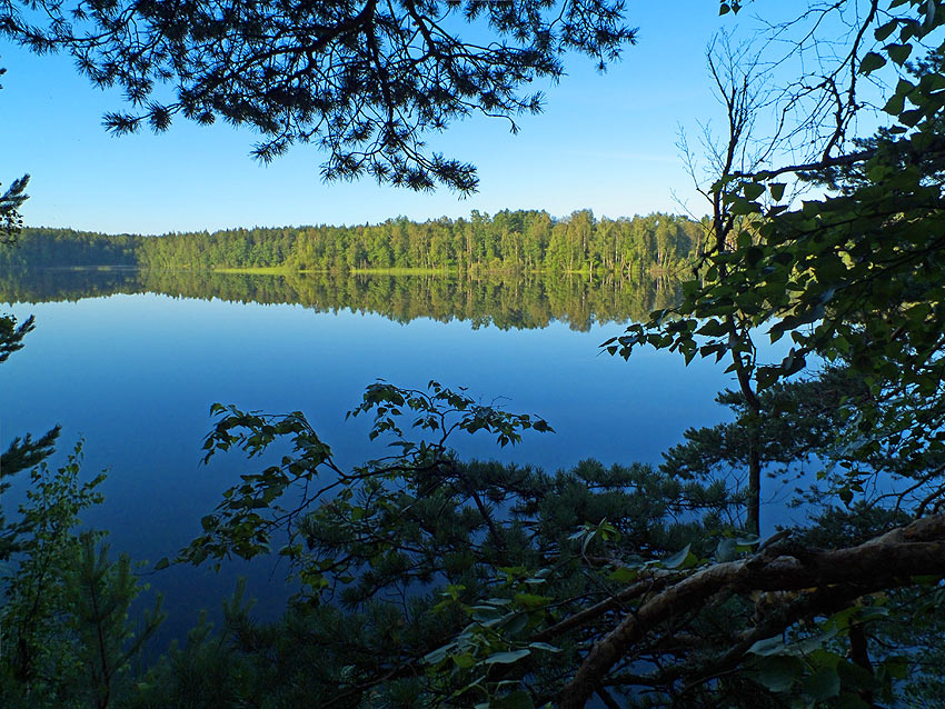 озеро ленинградская область фото